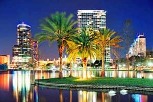 florida-orland-city-and-palm-trees-night